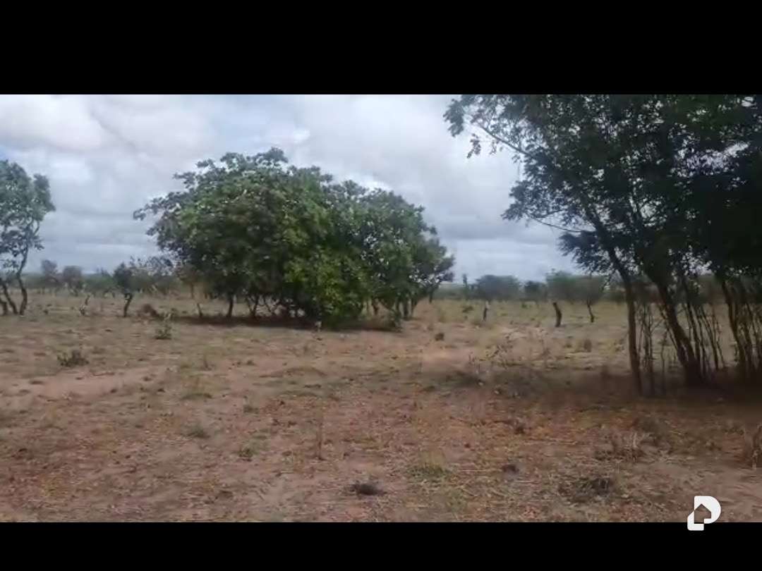 Terreno en Sur, Caicara del Orinoco – 7