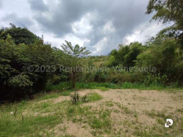 Terreno en La Entrada – 16