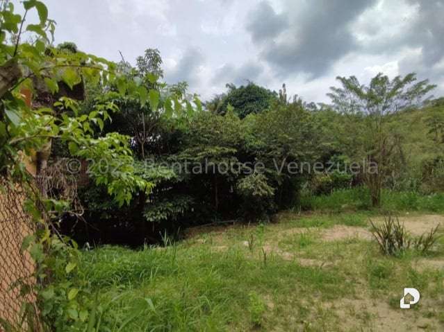 Terreno en La Entrada – 15