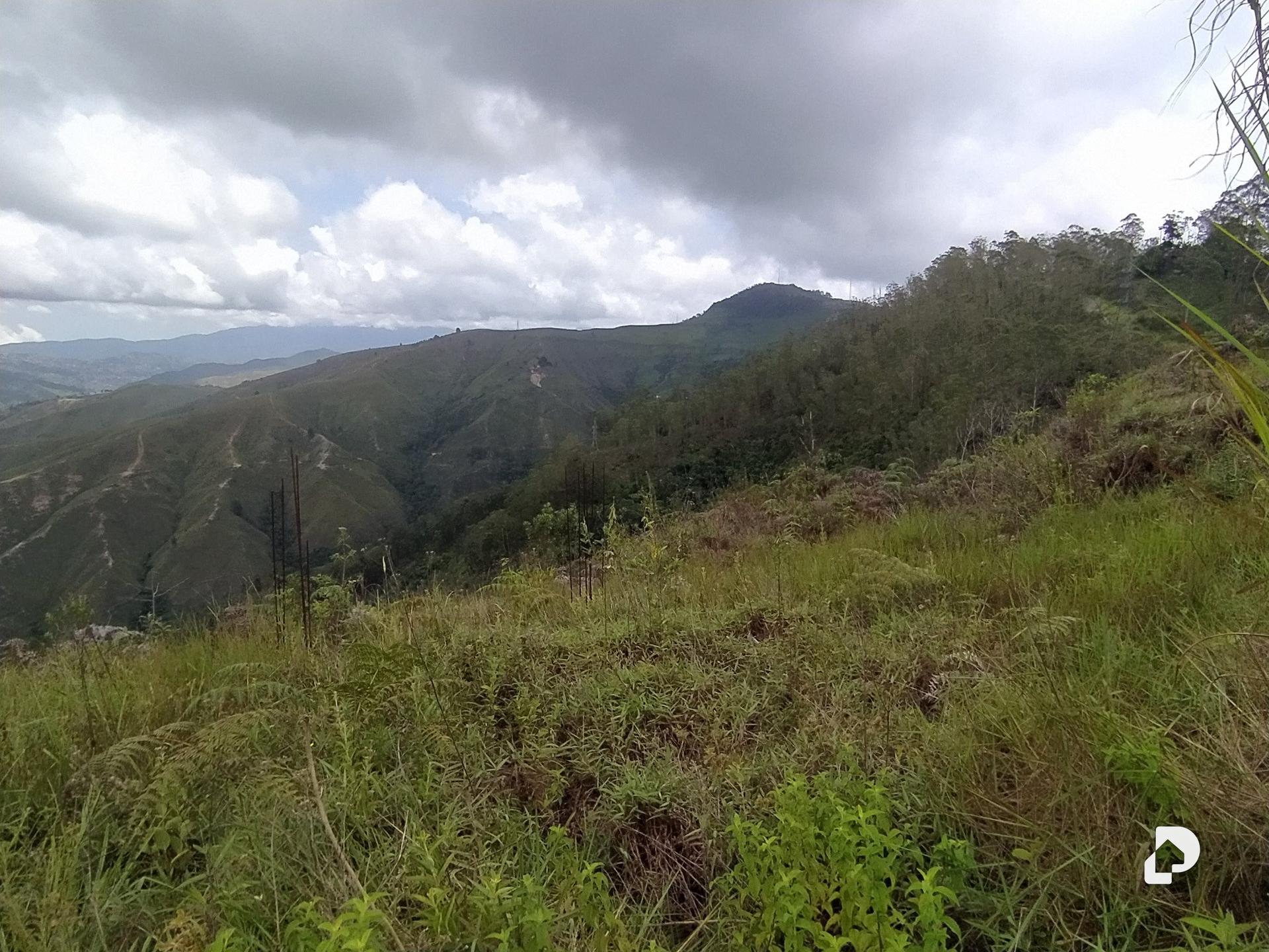 Terreno en Municipio Carrizal – 4