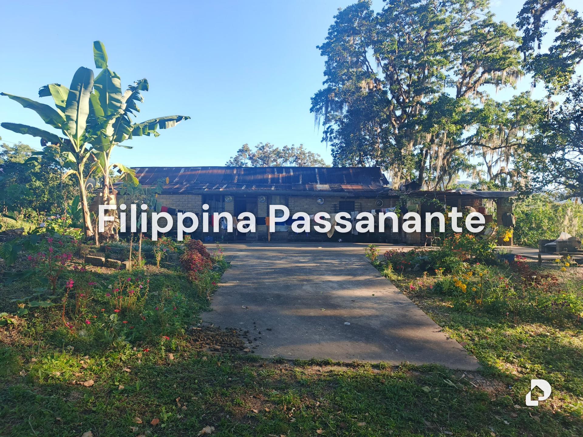 Finca en Teresen, Caripe – 1