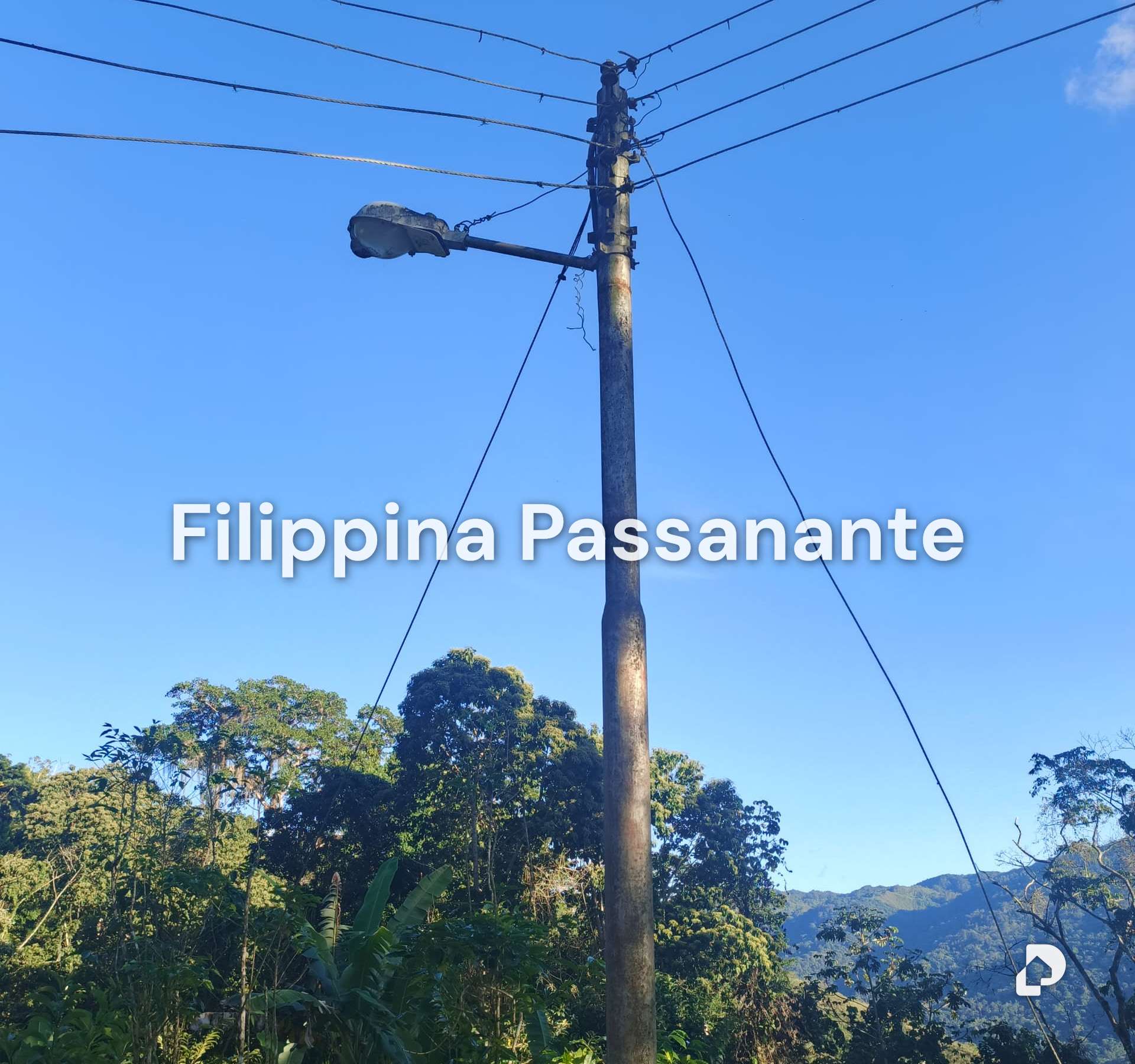Finca en Teresen, Caripe – 3