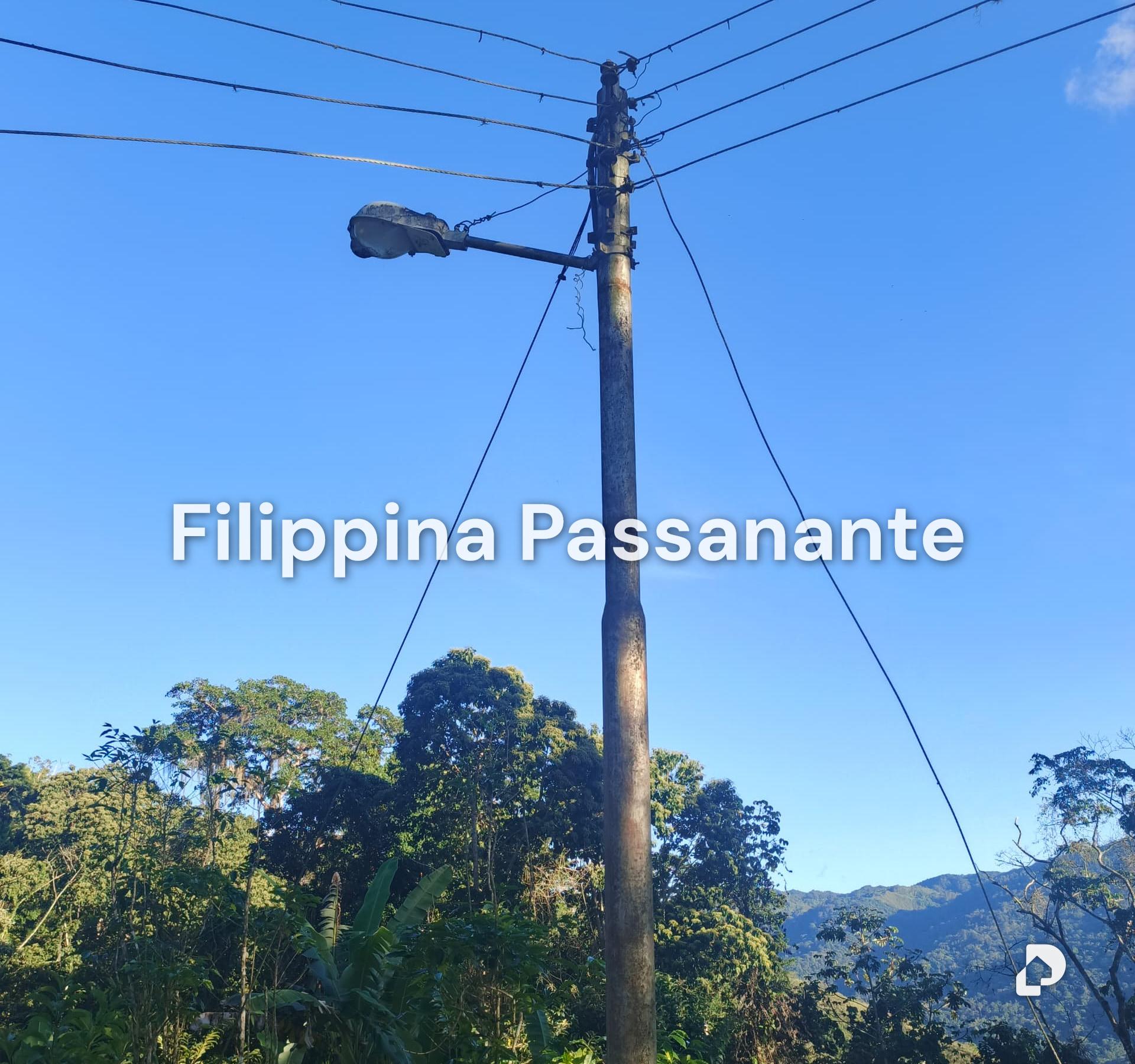 Finca en Teresen, Caripe – 3