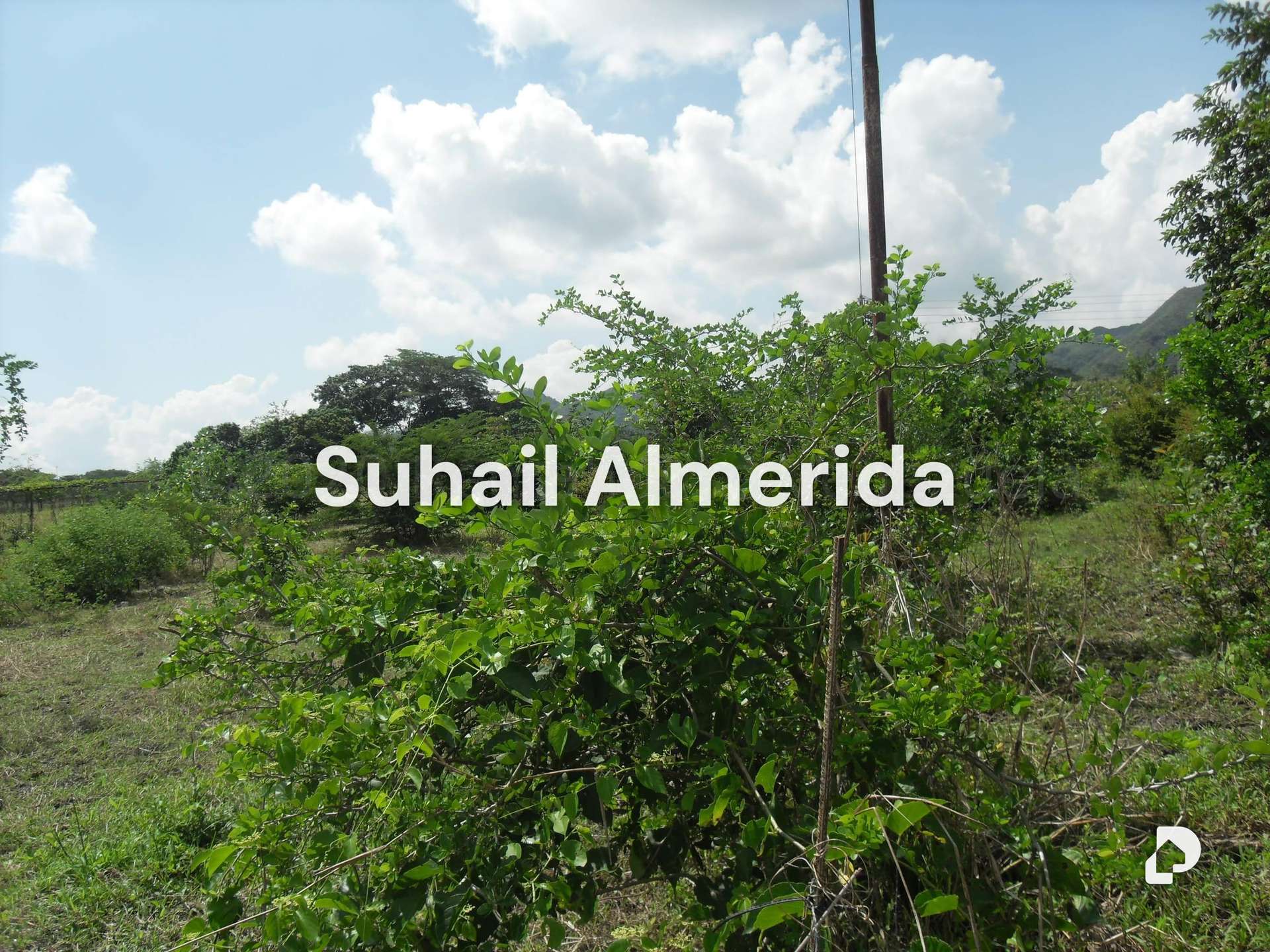 Terreno en Yagua, Guacara – 12