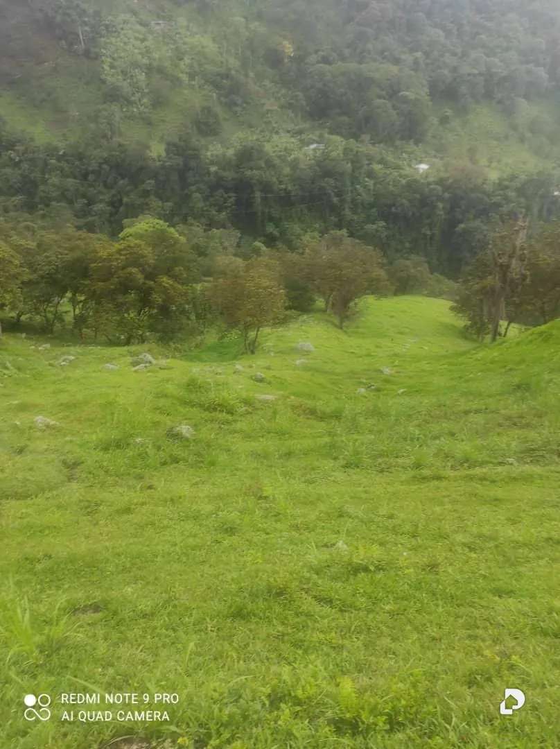 Finca en La Palmita – 50