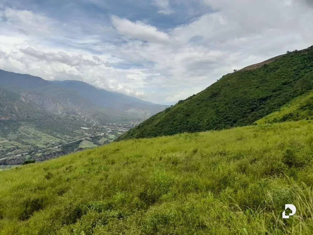 Finca en La Palmita – 42