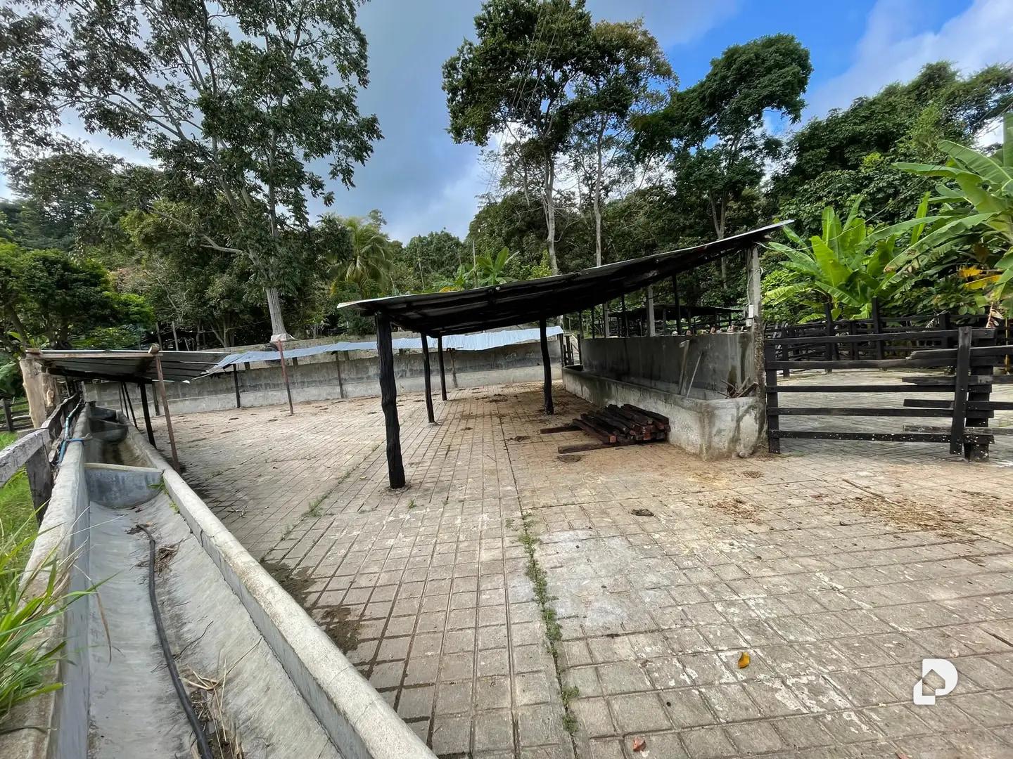 Finca en La Palmita – 3