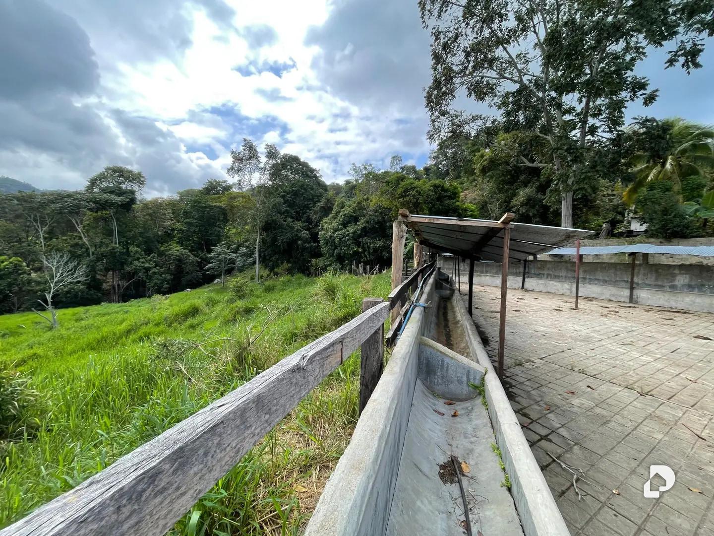 Finca en La Palmita – 2