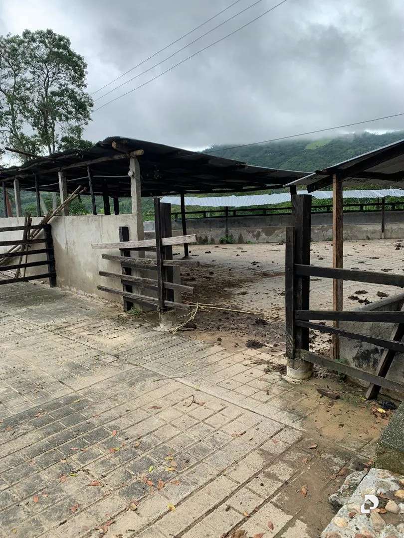 Finca en La Palmita – 27