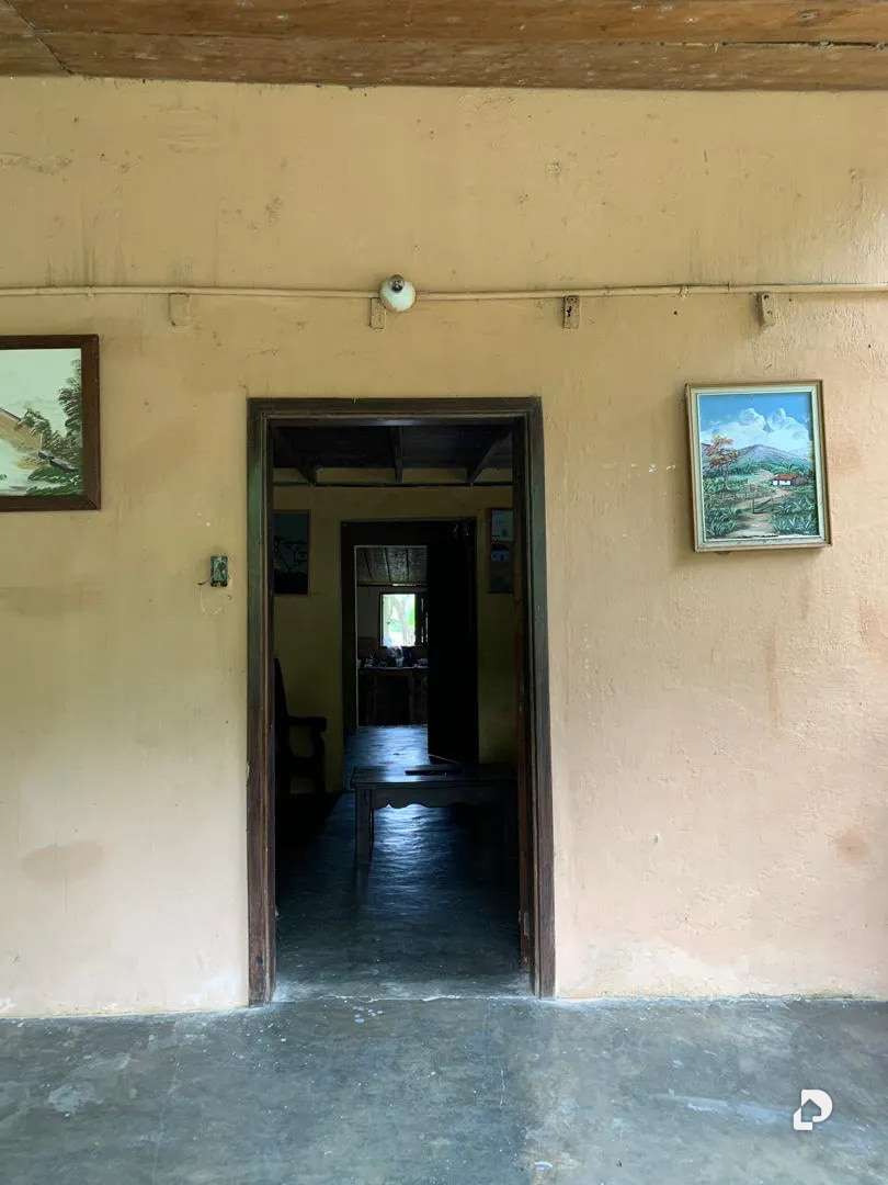 Finca en La Palmita – 16