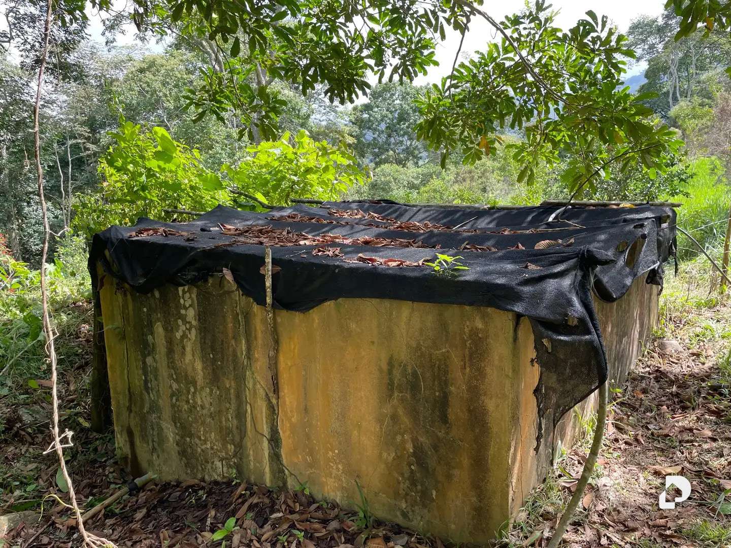 Finca en La Palmita – 25