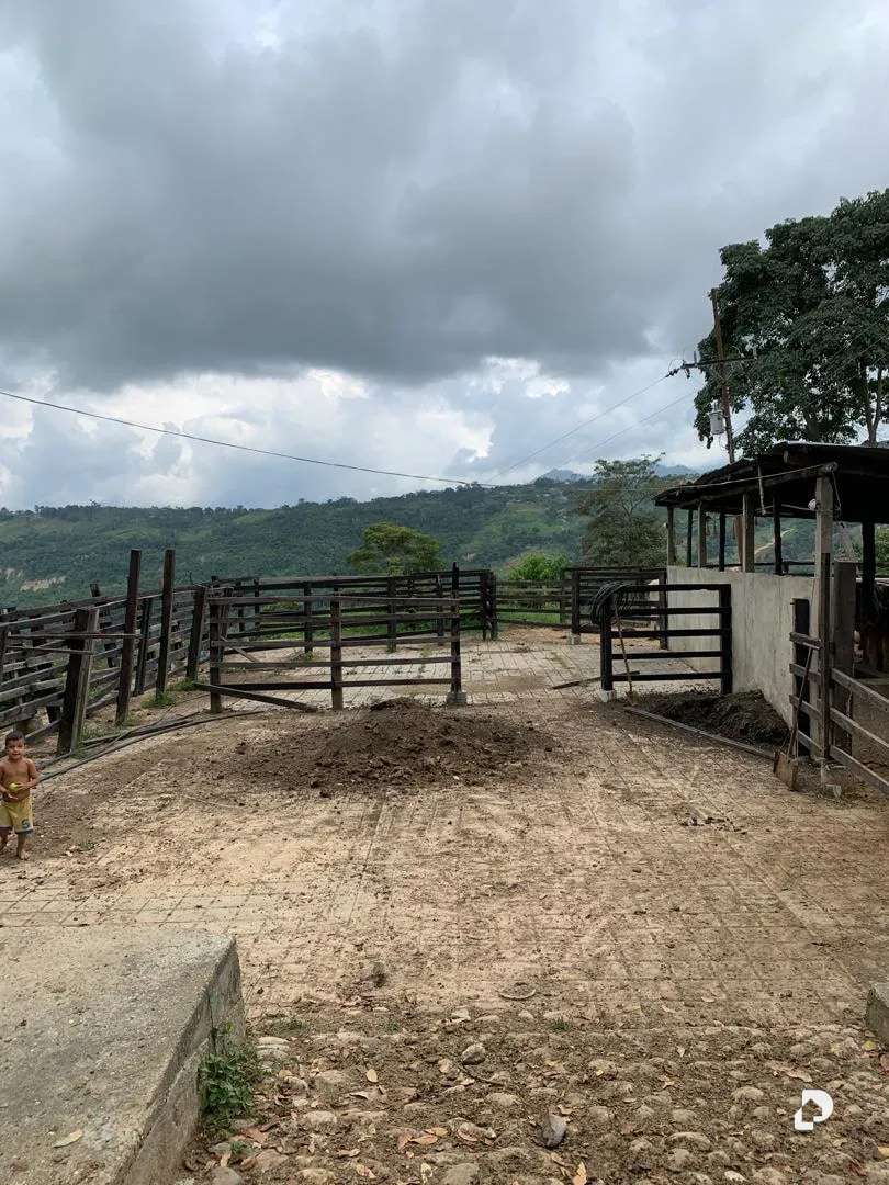 Finca en La Palmita – 33