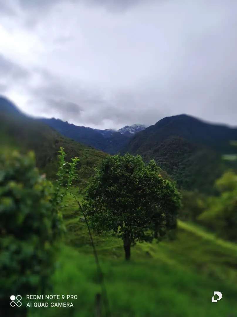 Finca en La Palmita – 47