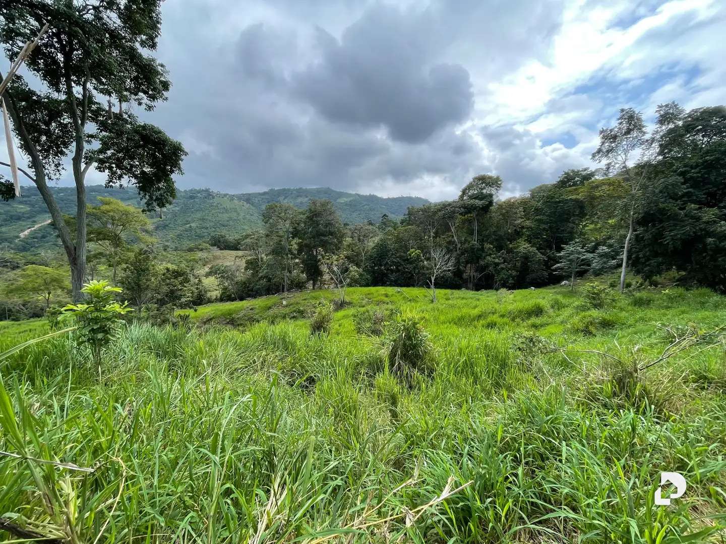 Finca en La Palmita – 4