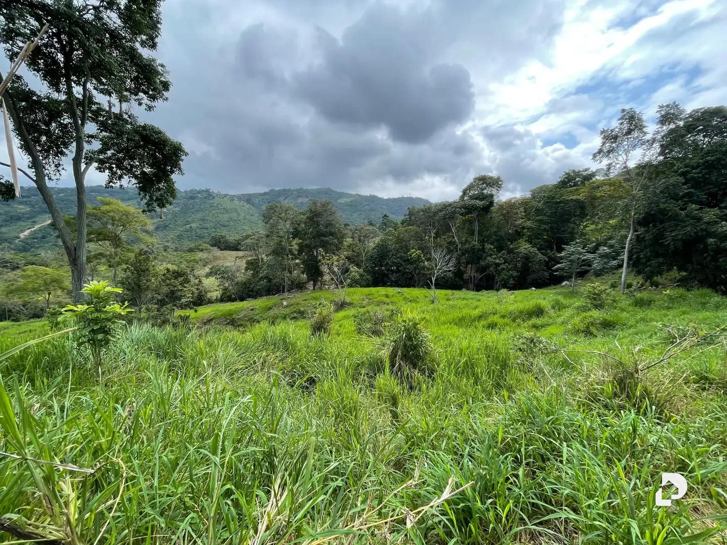 Finca en La Palmita – 4