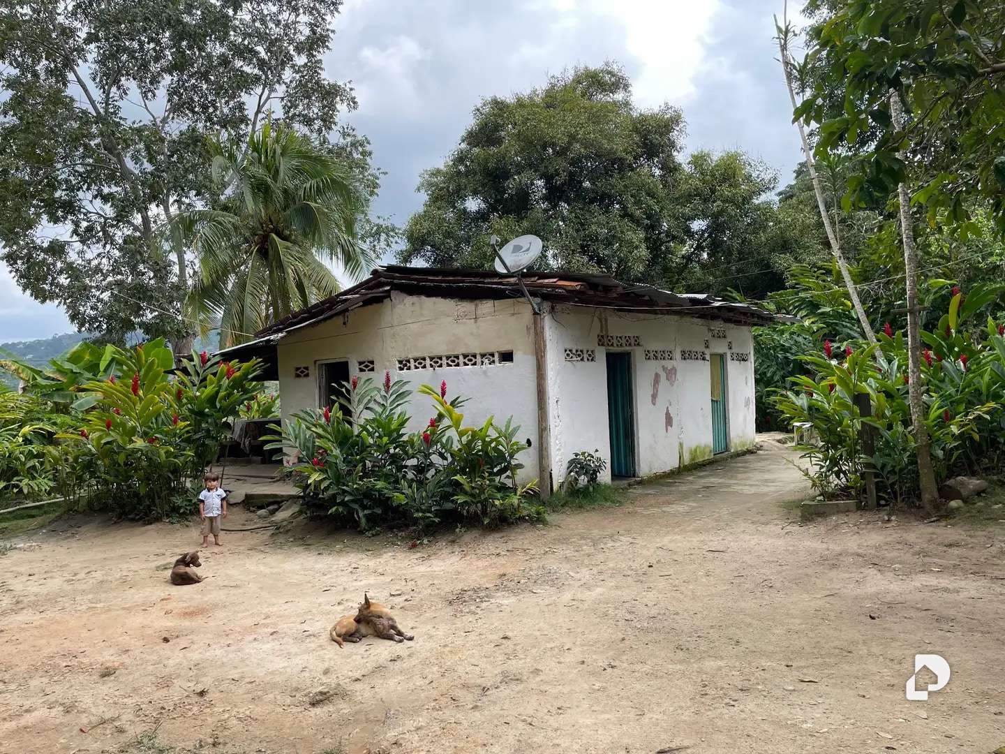 Finca en La Palmita – 23