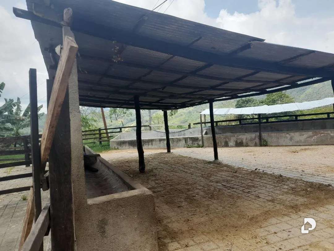 Finca en La Palmita – 29