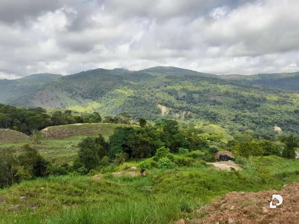 Finca en La Palmita – 40