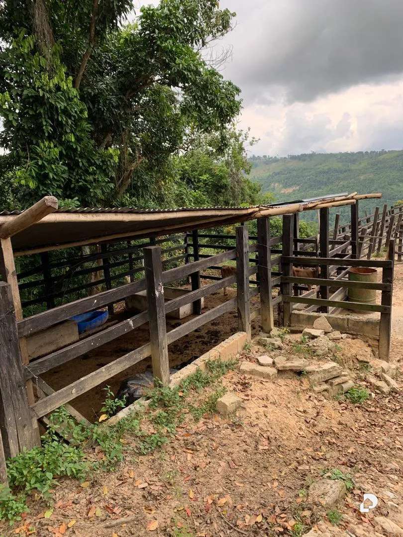 Finca en La Palmita – 34