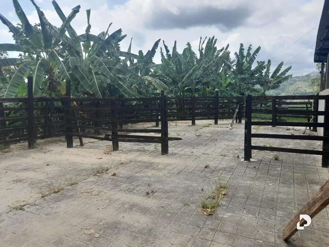 Finca en La Palmita – 32