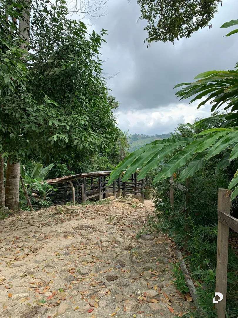 Finca en La Palmita – 36
