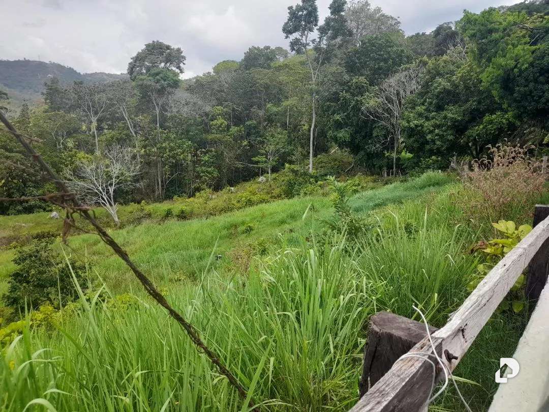 Finca en La Palmita – 43