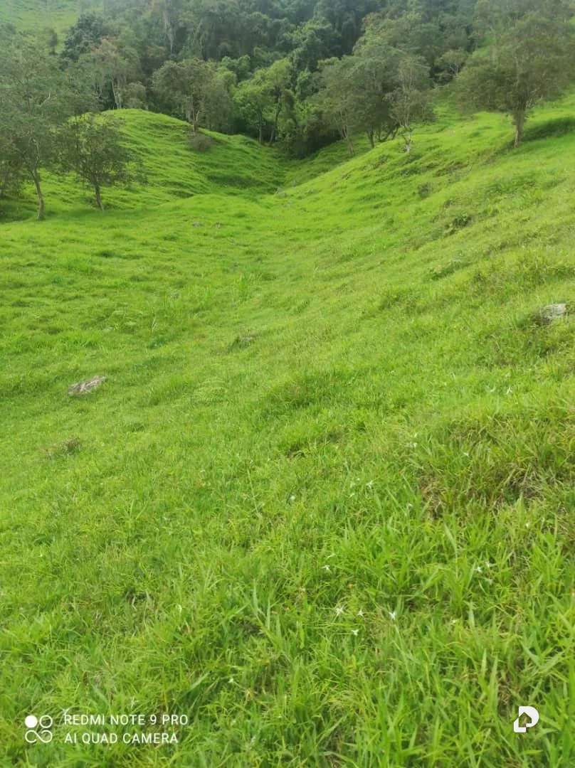 Finca en La Palmita – 48