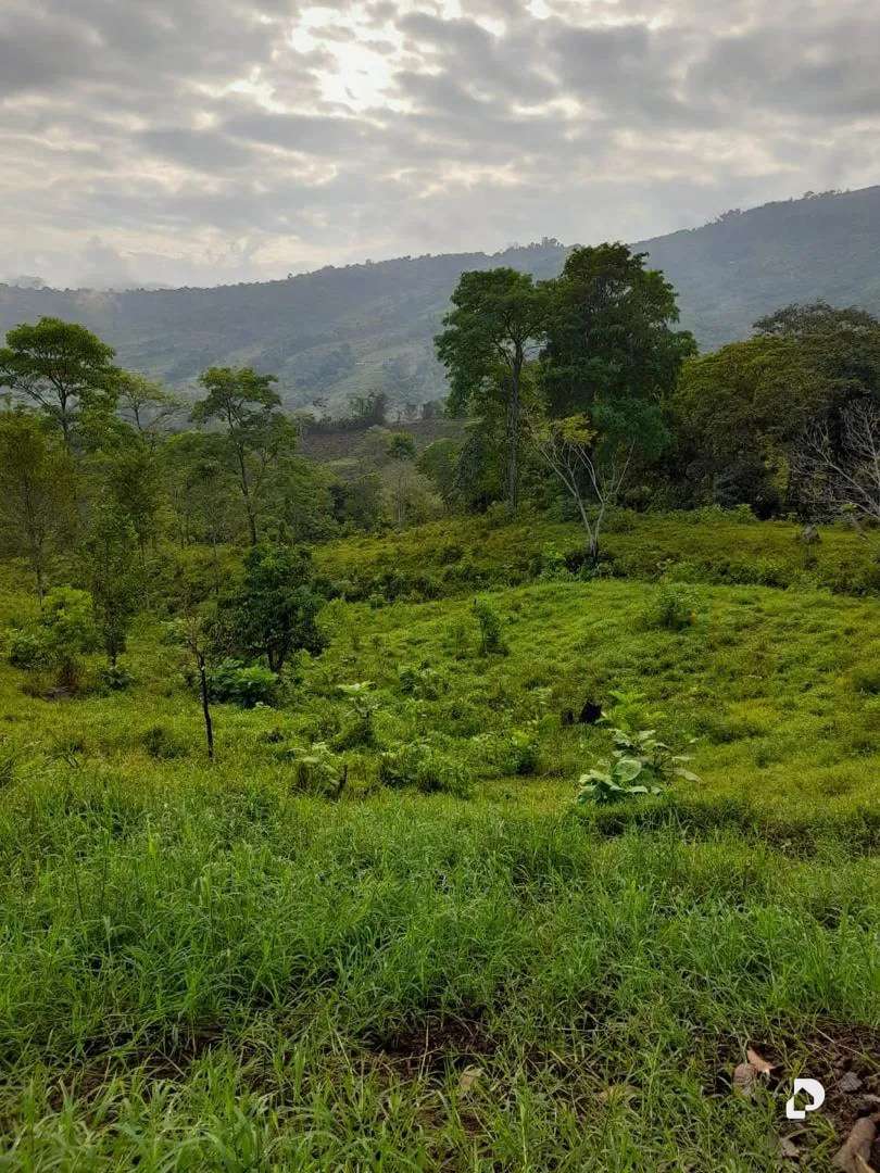 Finca en La Palmita – 41