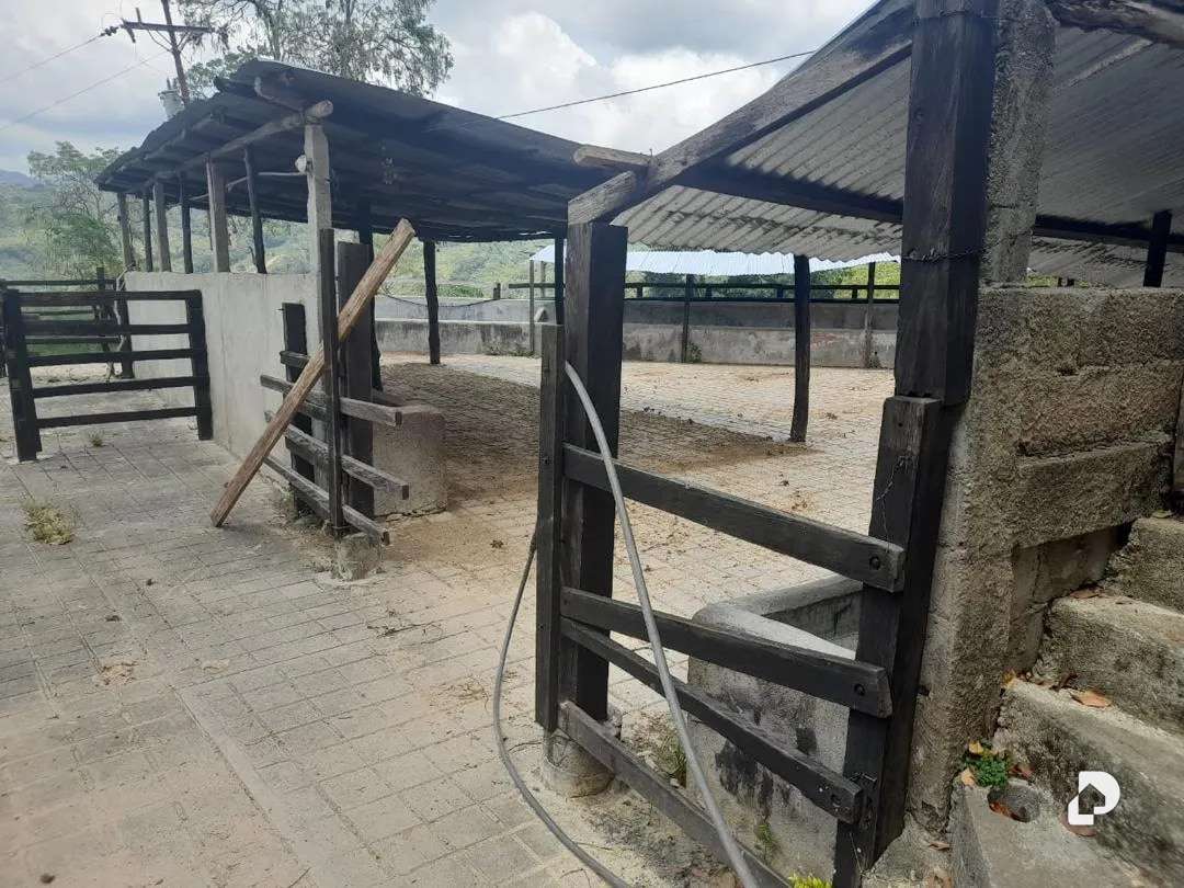 Finca en La Palmita – 30