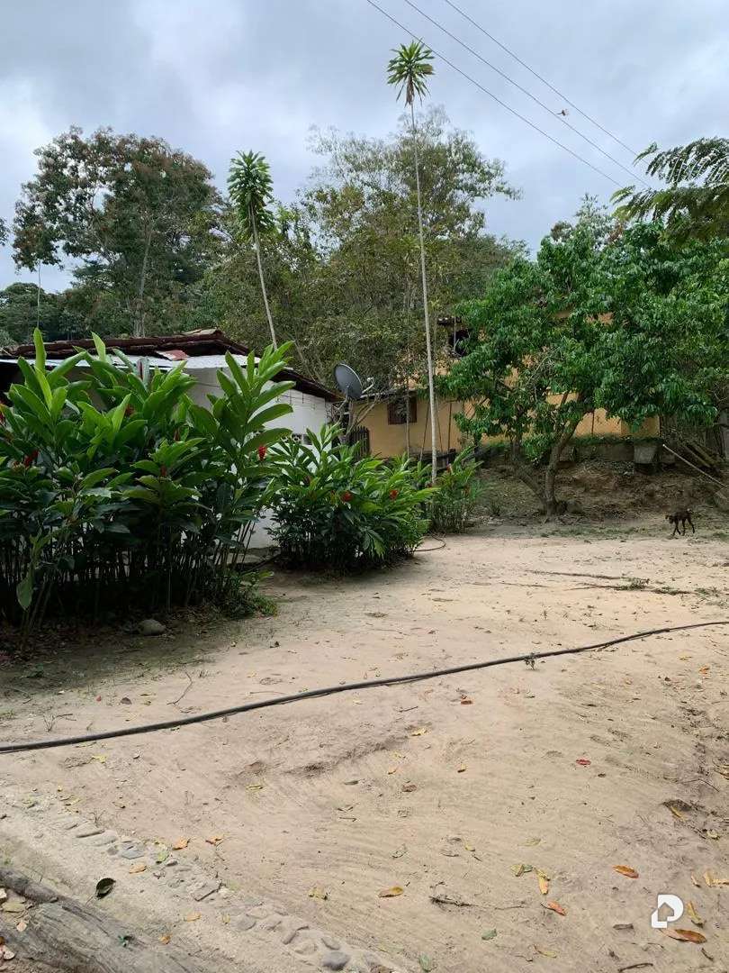 Finca en La Palmita – 38