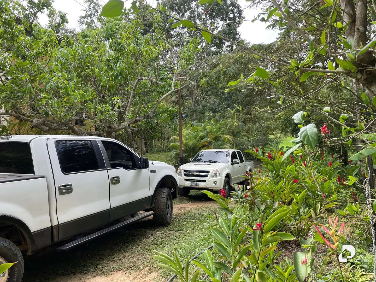 Finca en La Palmita – 24