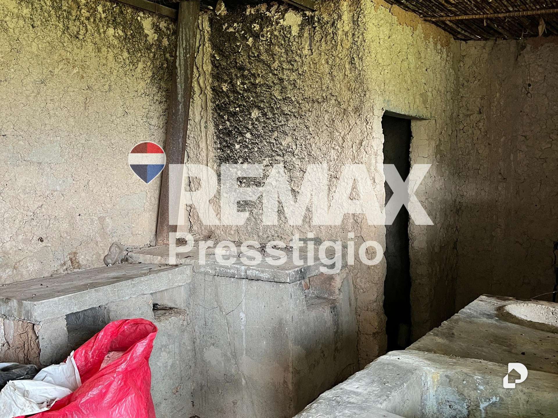 Finca en San Juan – 6