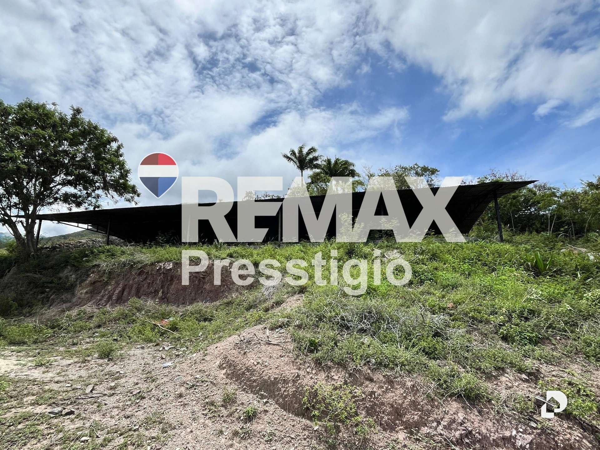 Finca en San Juan – 9