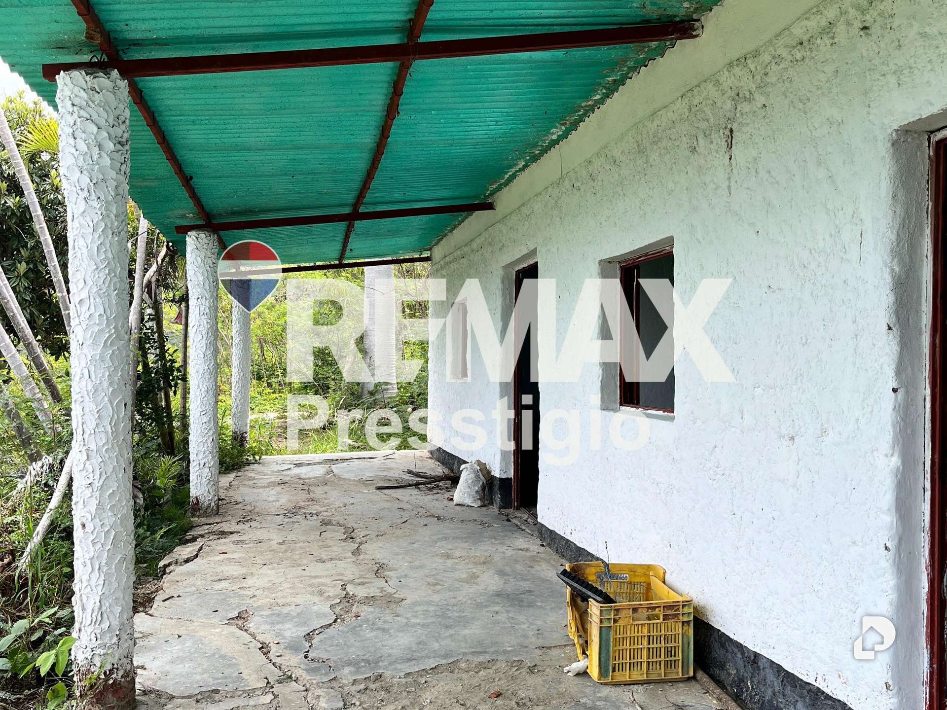 Finca en San Juan – 1