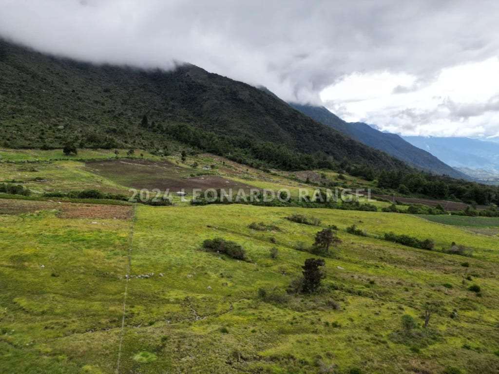 Terreno en La Culata, Gonzalo Picón Febres - 1