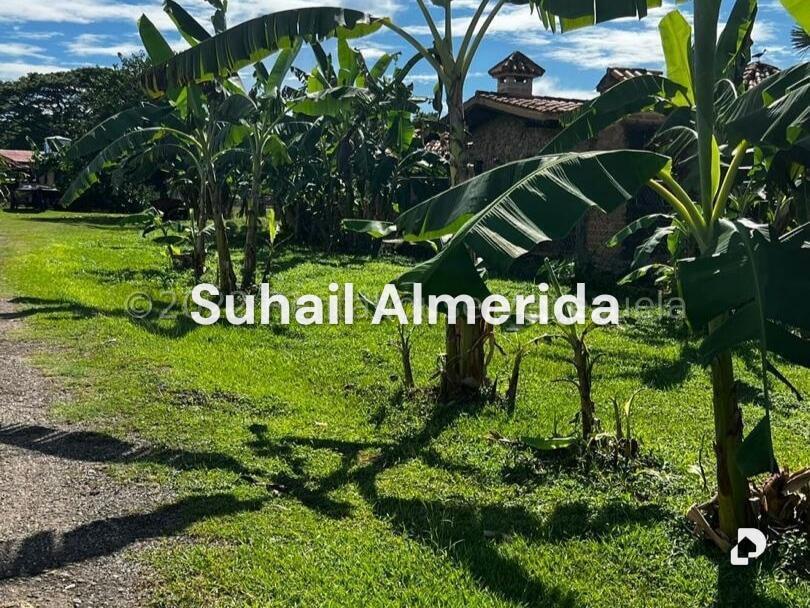 Terreno en Barrera, Libertador – 4