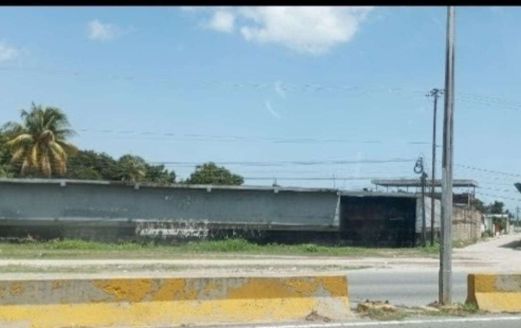 Galpón en Carlos Andres Perez, Palo Negro - 1