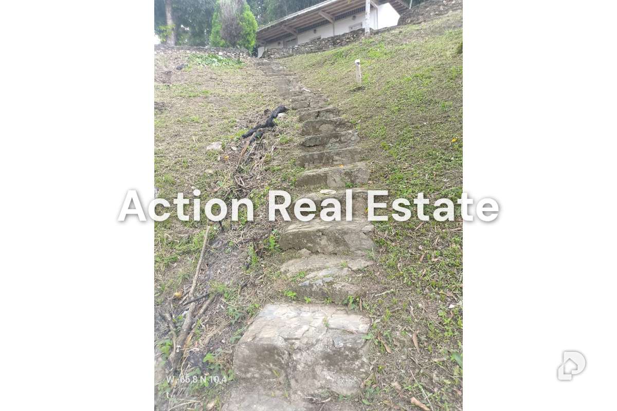 Finca en Sabaneta, Caracas – 21