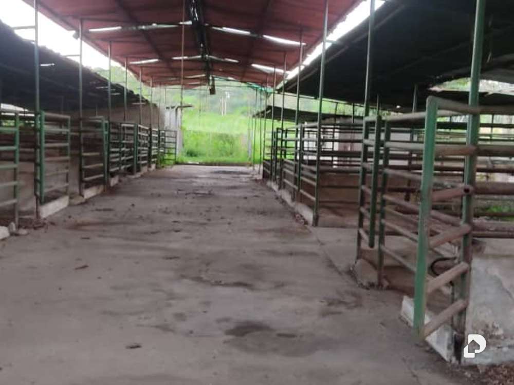 Finca en Santa Teresa del Tuy, Valles del Tuy – 3