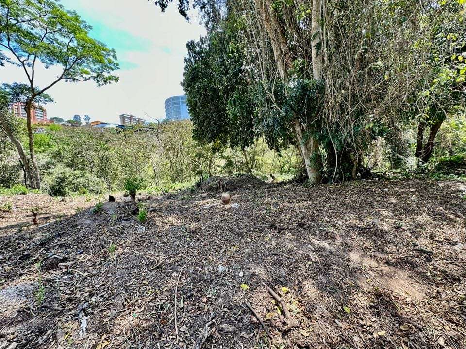 Terreno en Cerro Verde, Caracas - 1
