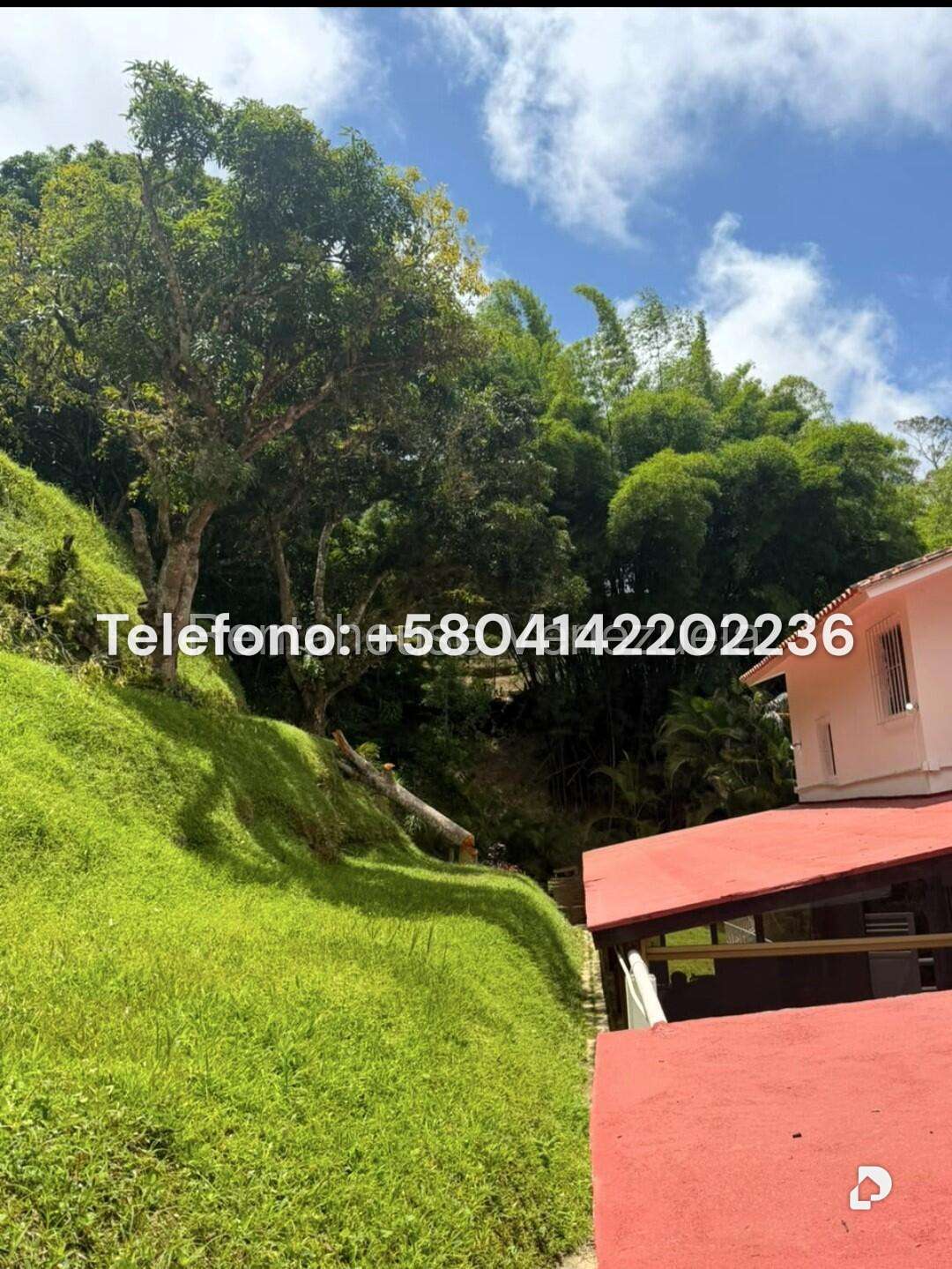 Casa en Oripoto, Caracas – 47