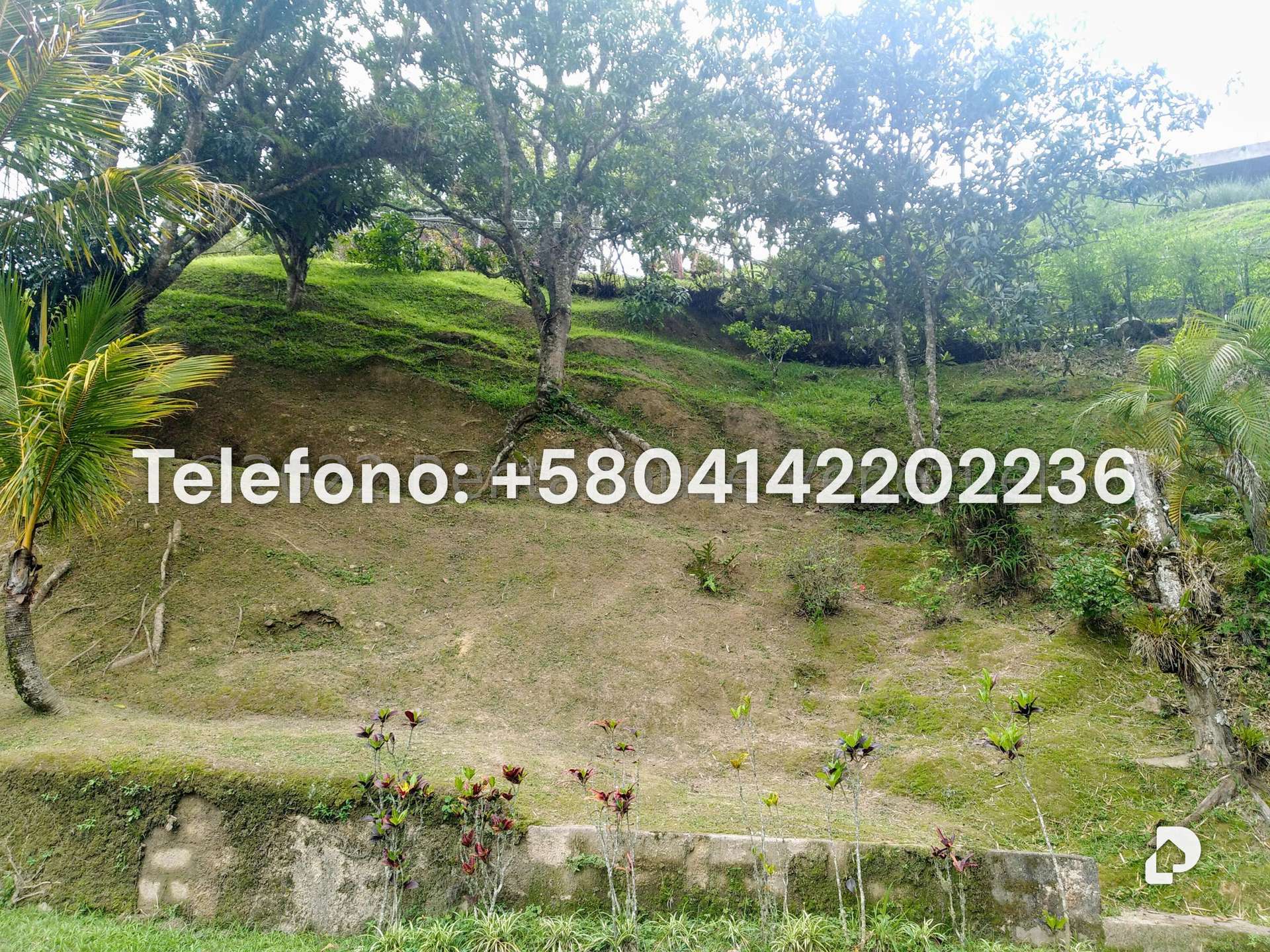 Casa en Oripoto, Caracas – 33