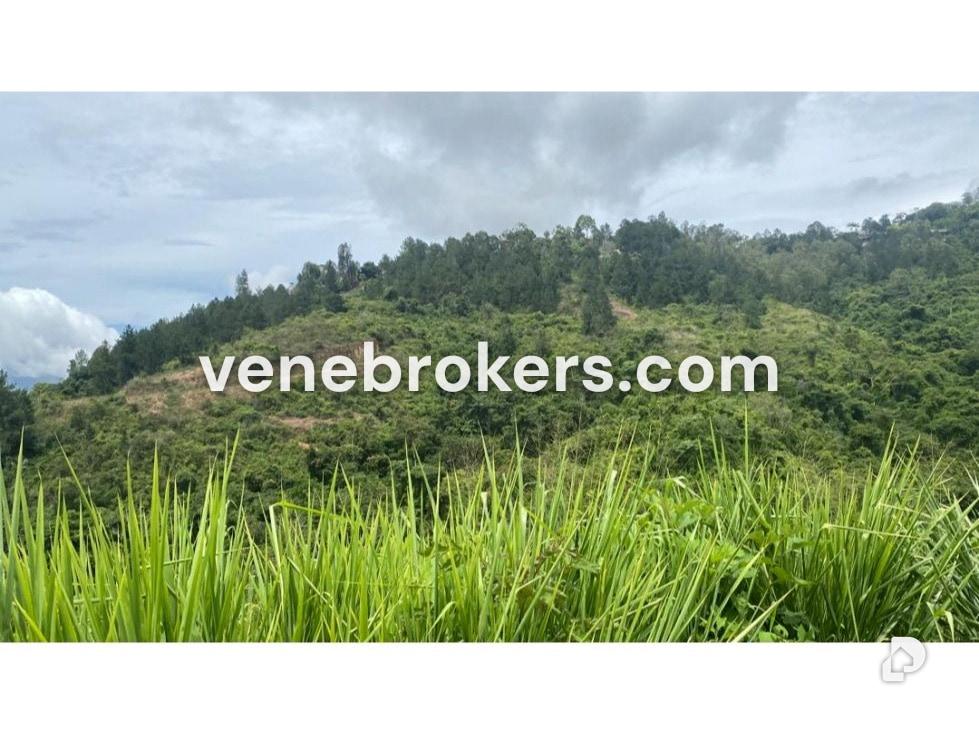 Terreno en Los Samanes, Baruta – 1