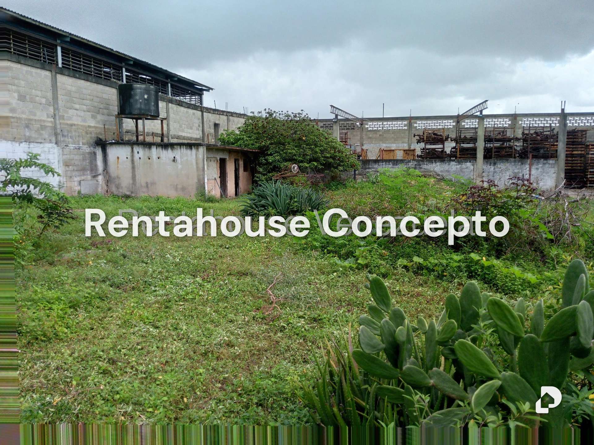 Local comercial en Lizandro Alvarado, Valencia – 15