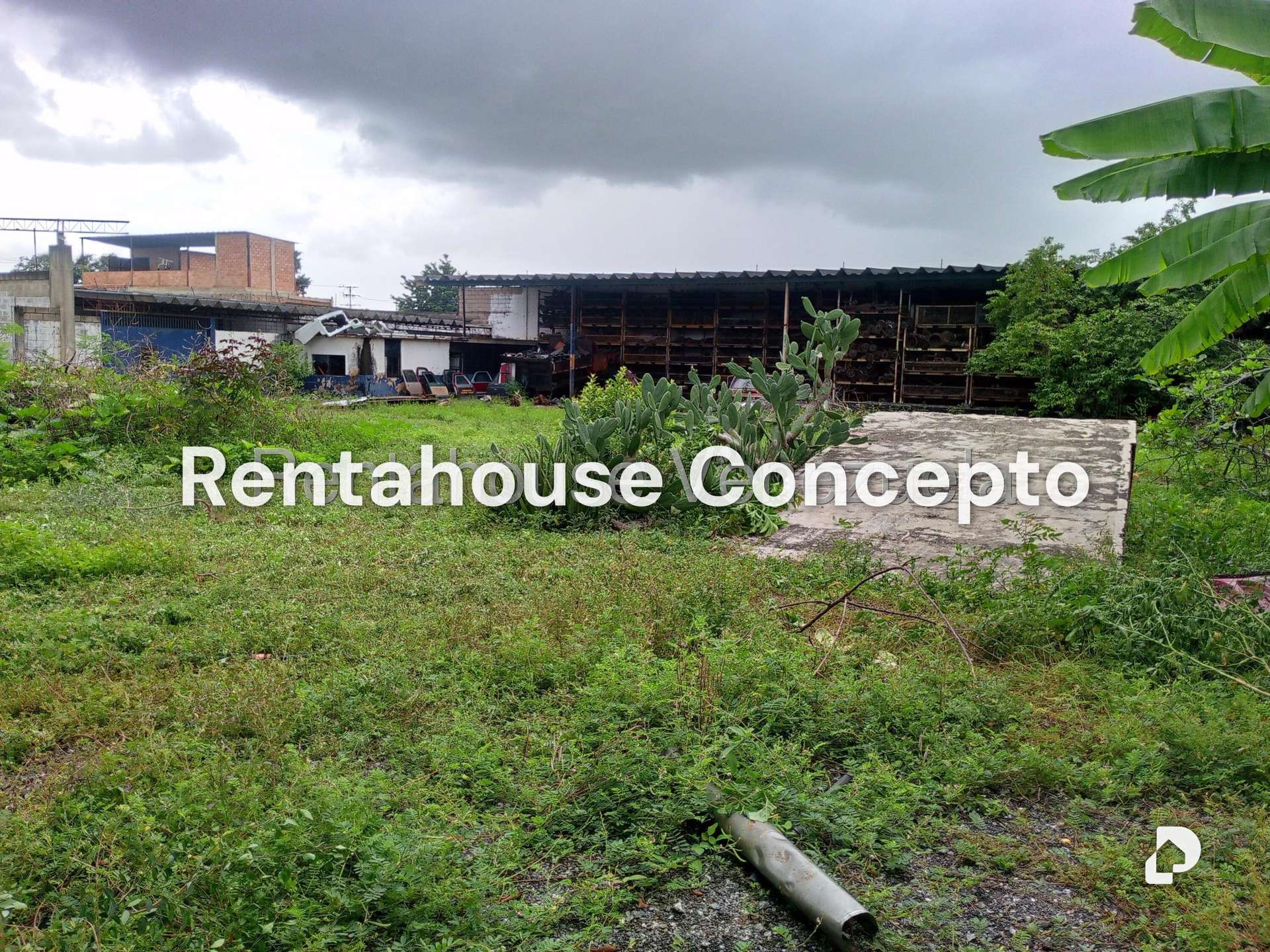 Local comercial en Lizandro Alvarado, Valencia – 17