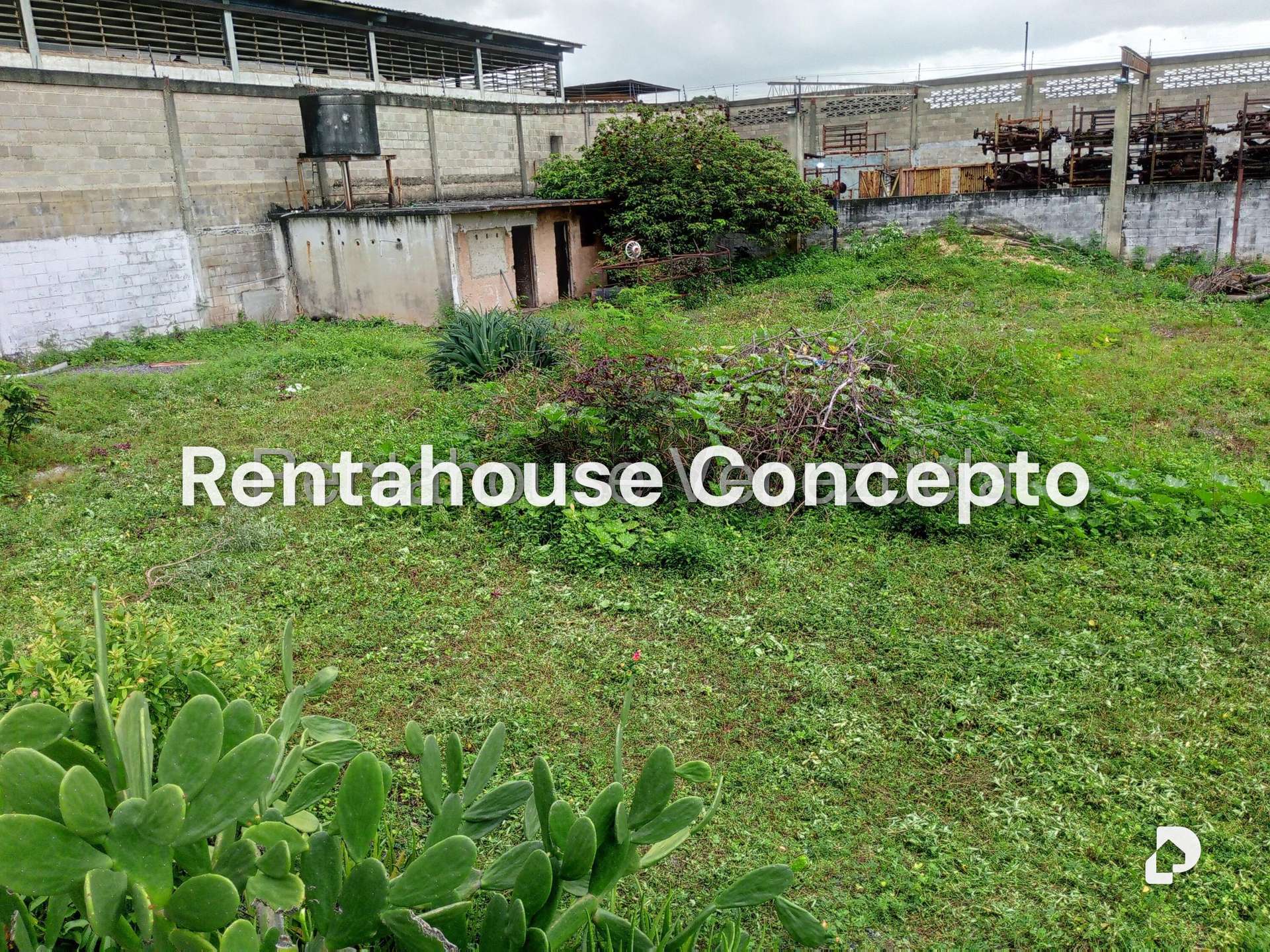Local comercial en Lizandro Alvarado, Valencia – 8