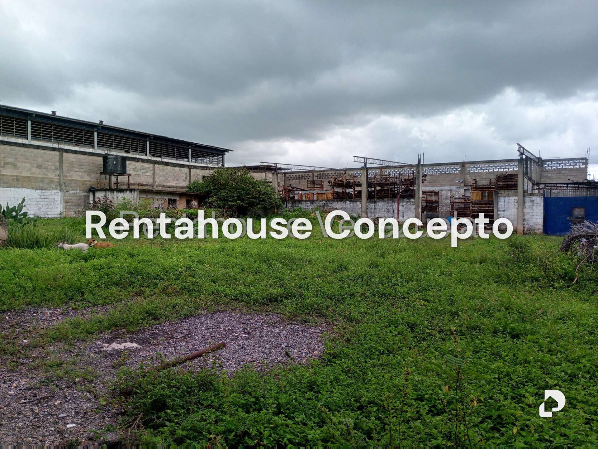 Local comercial en Lizandro Alvarado, Valencia – 19