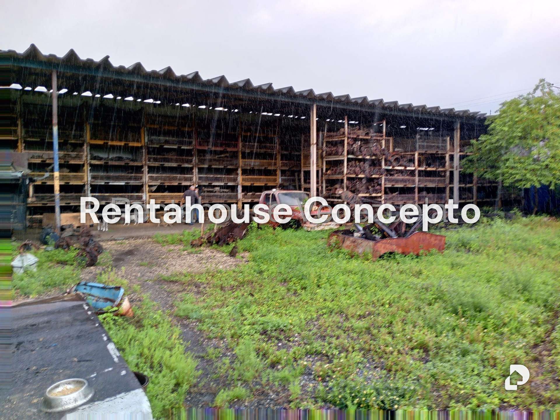 Local comercial en Lizandro Alvarado, Valencia – 18