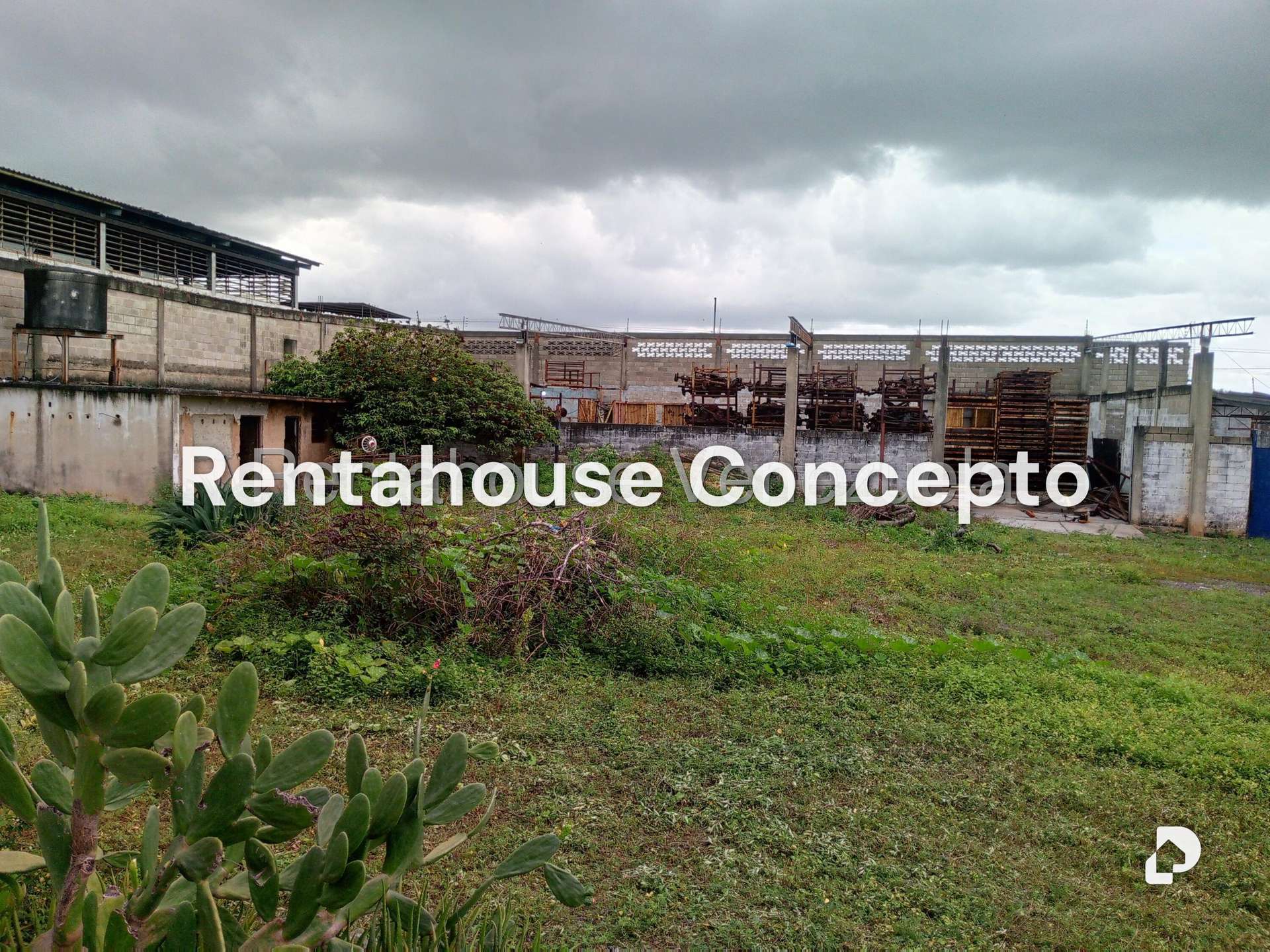 Local comercial en Lizandro Alvarado, Valencia – 6