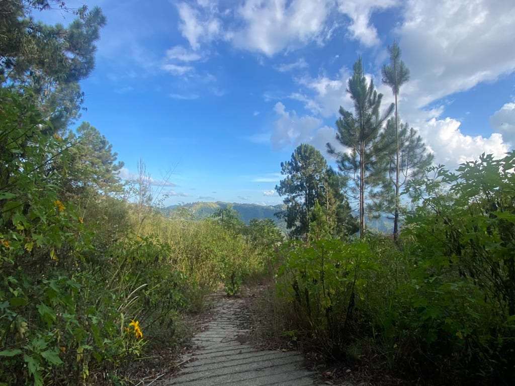Terreno en Baruta, Caracas